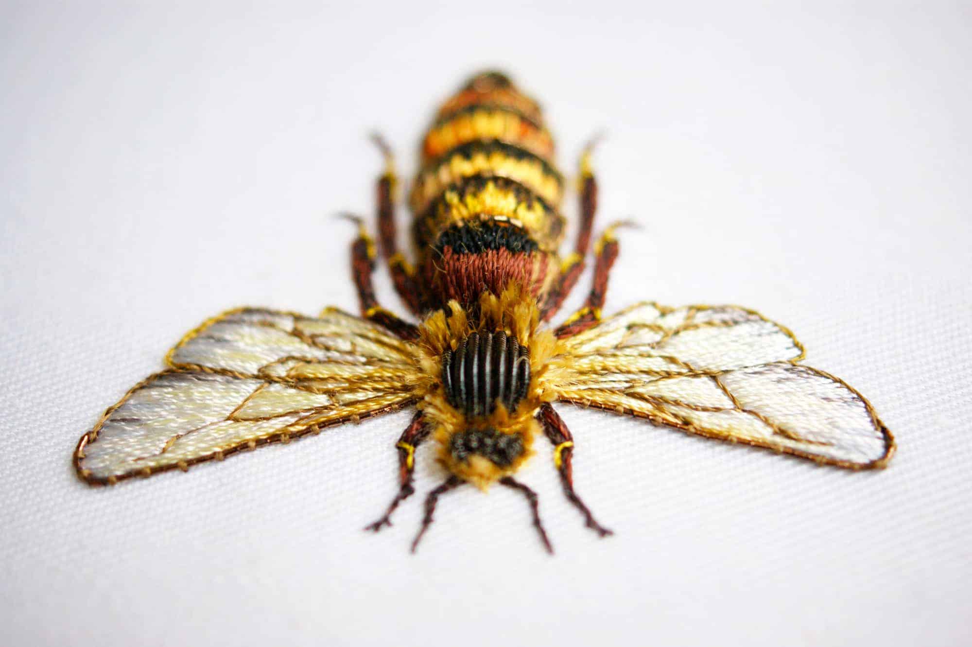 Colorful bee