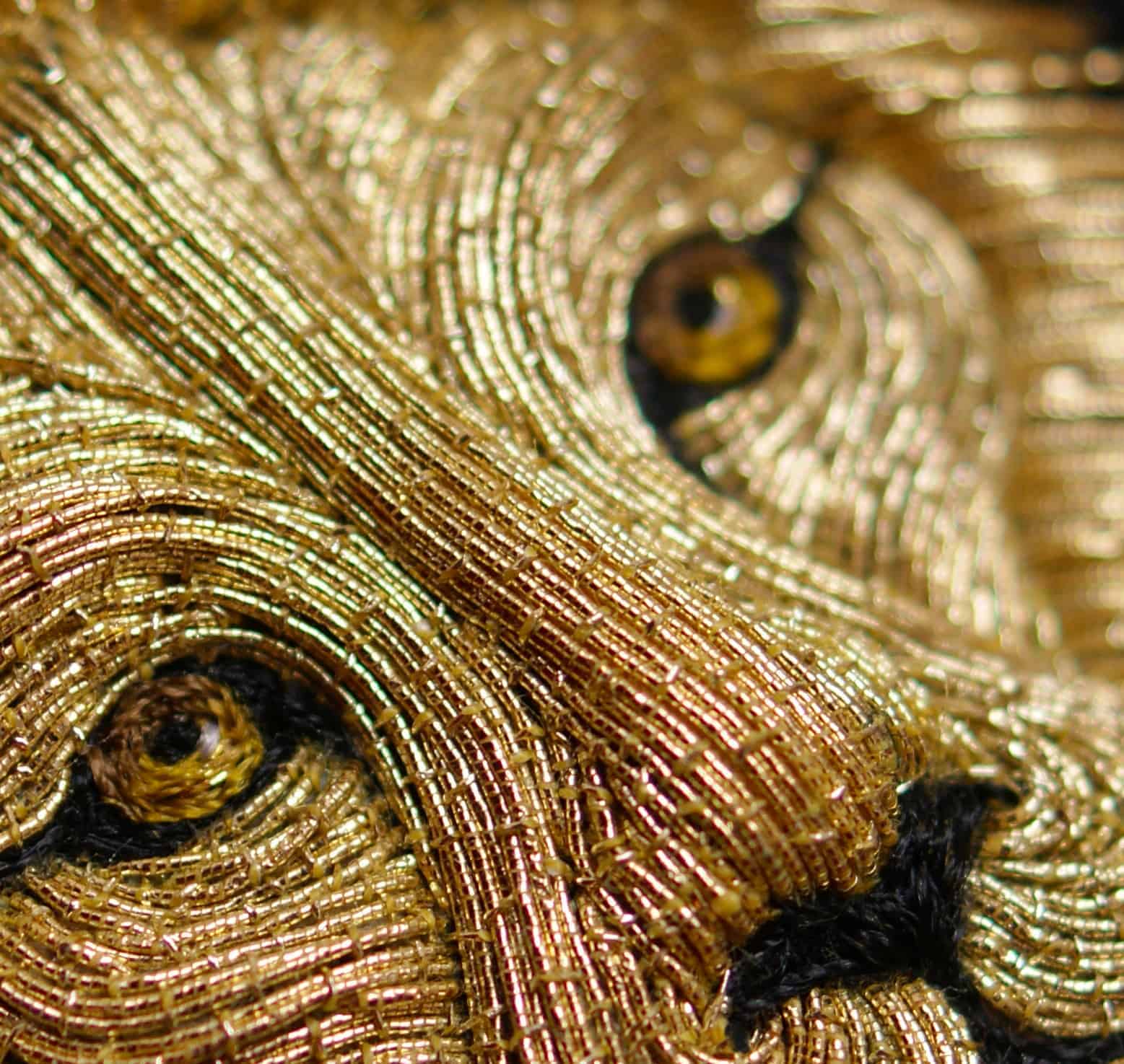 Lion Embroidery - The Level of Detail