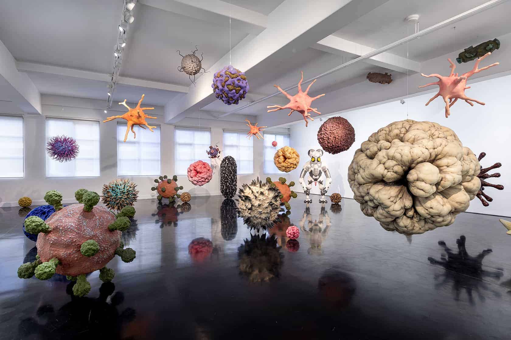 Exploring The Colony