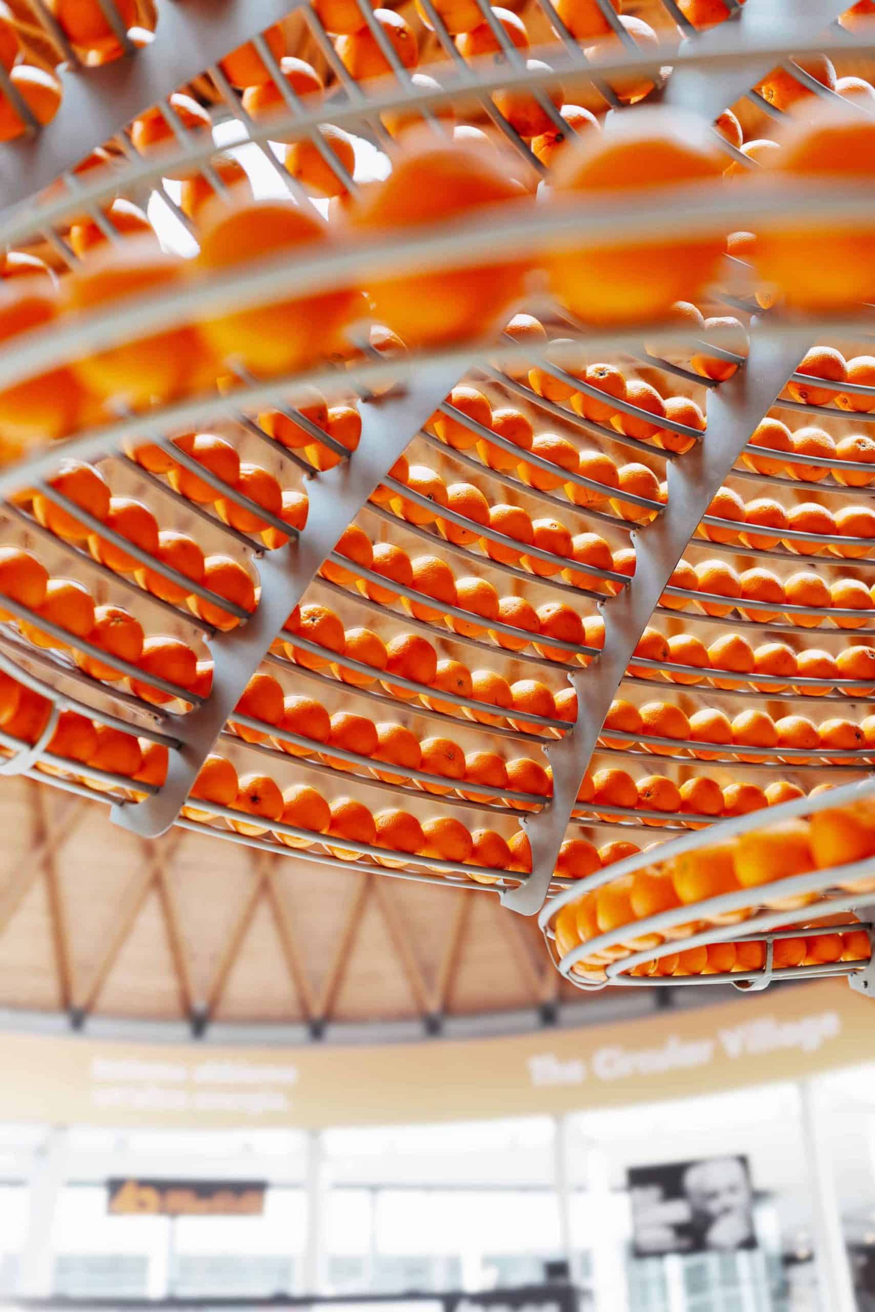 The House of Oranges