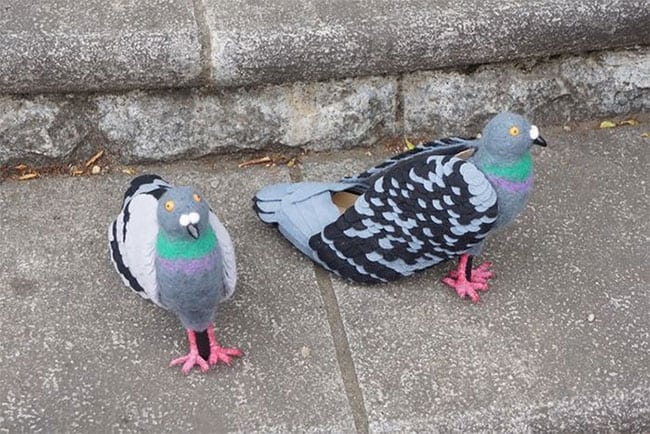 Real pigeons or just Shoes