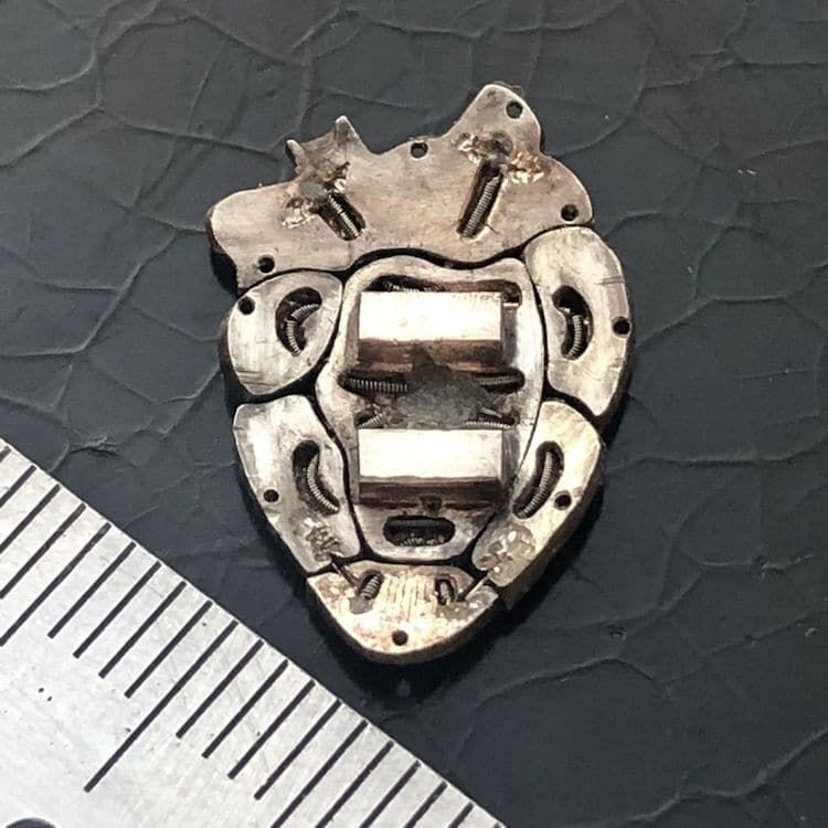 The heart in the making