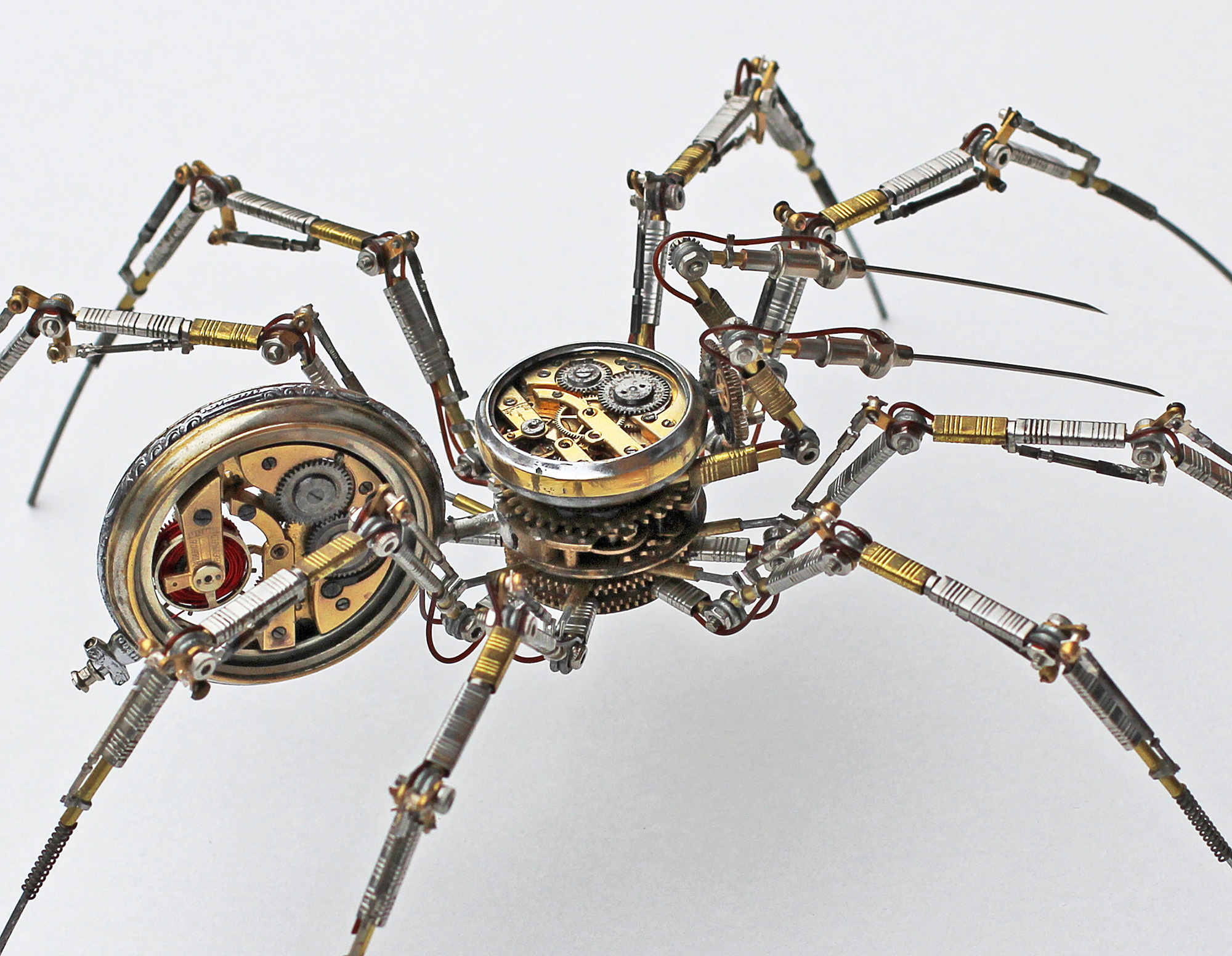 Clock Spider