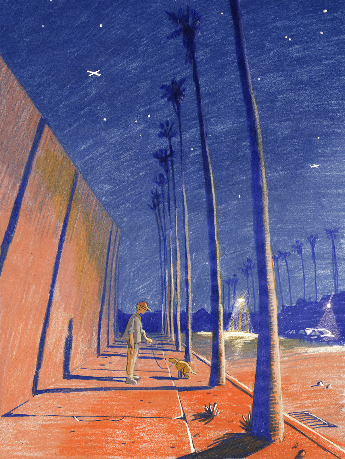 Sam Alden - Dog walk