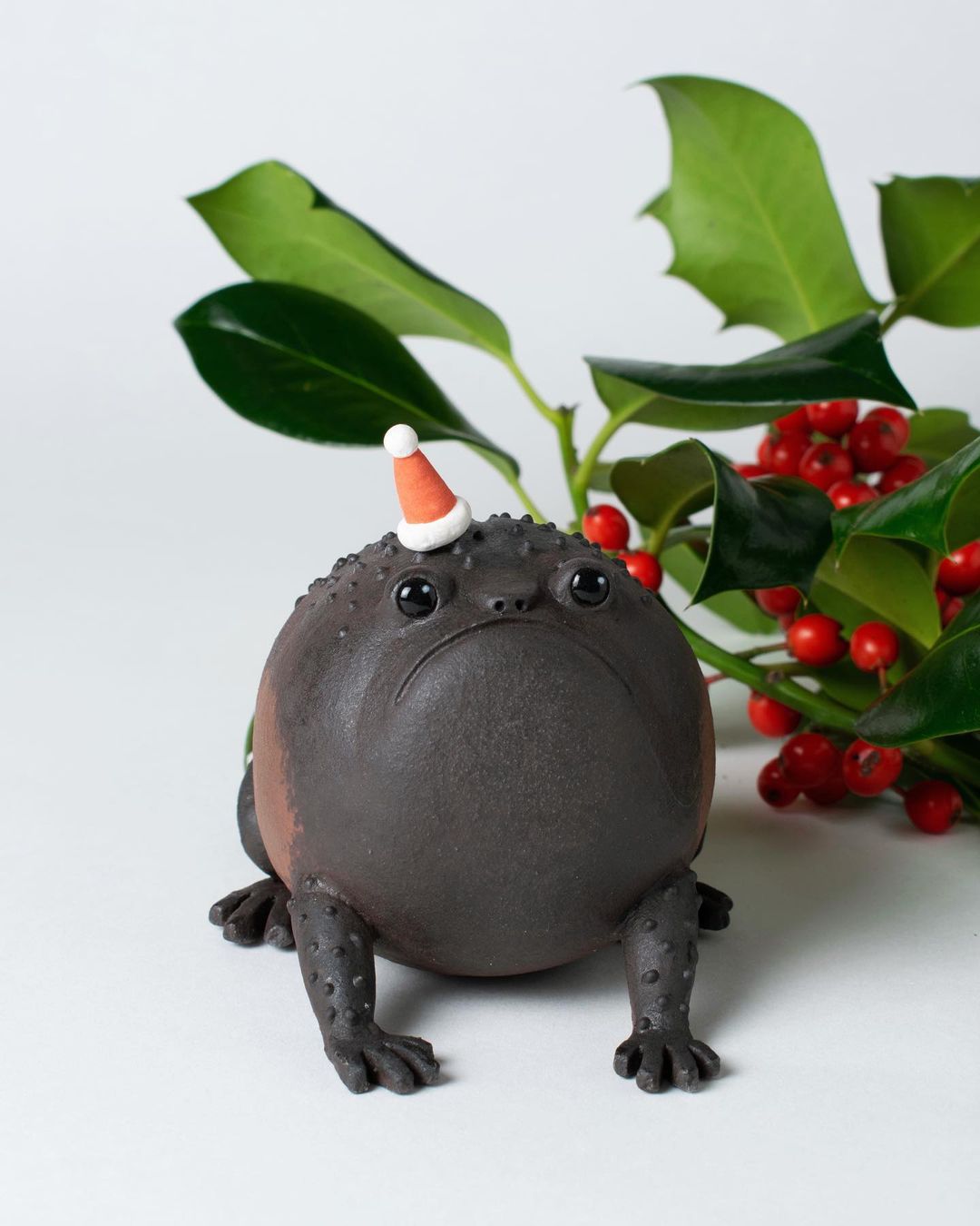 Waiting for Christmas Frog