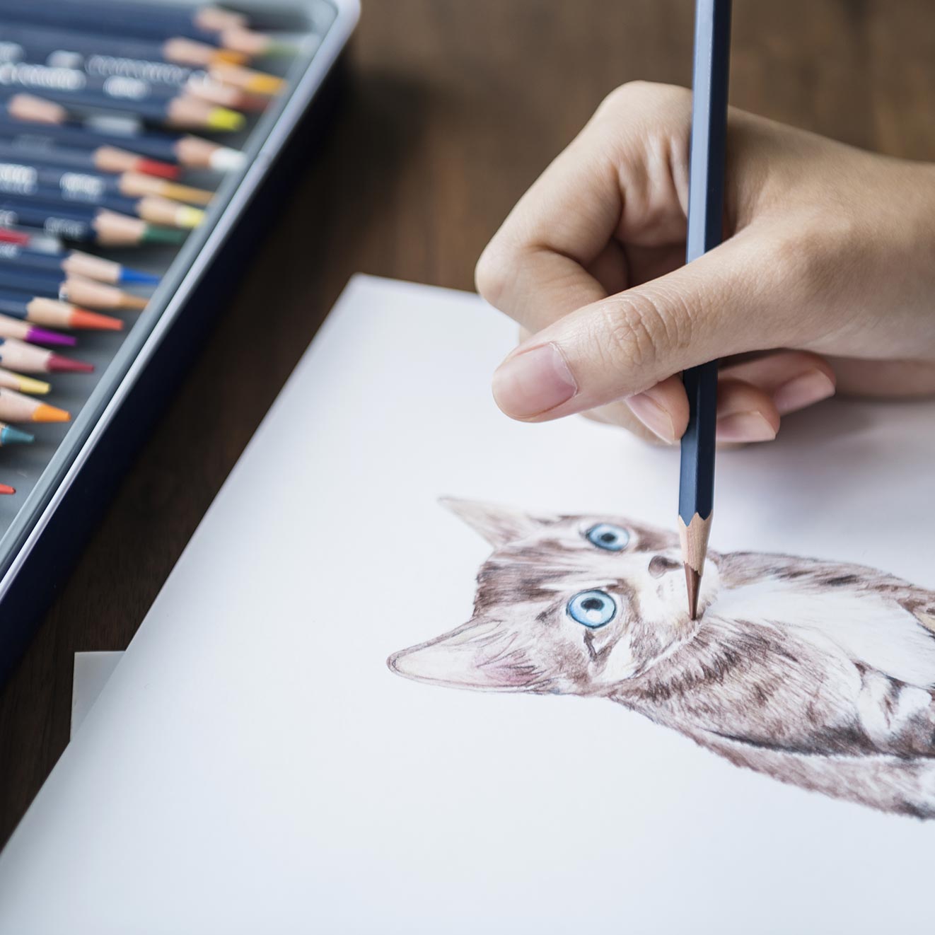 What Are the Best Colored Pencils for Artists to Use? - Leona Creo