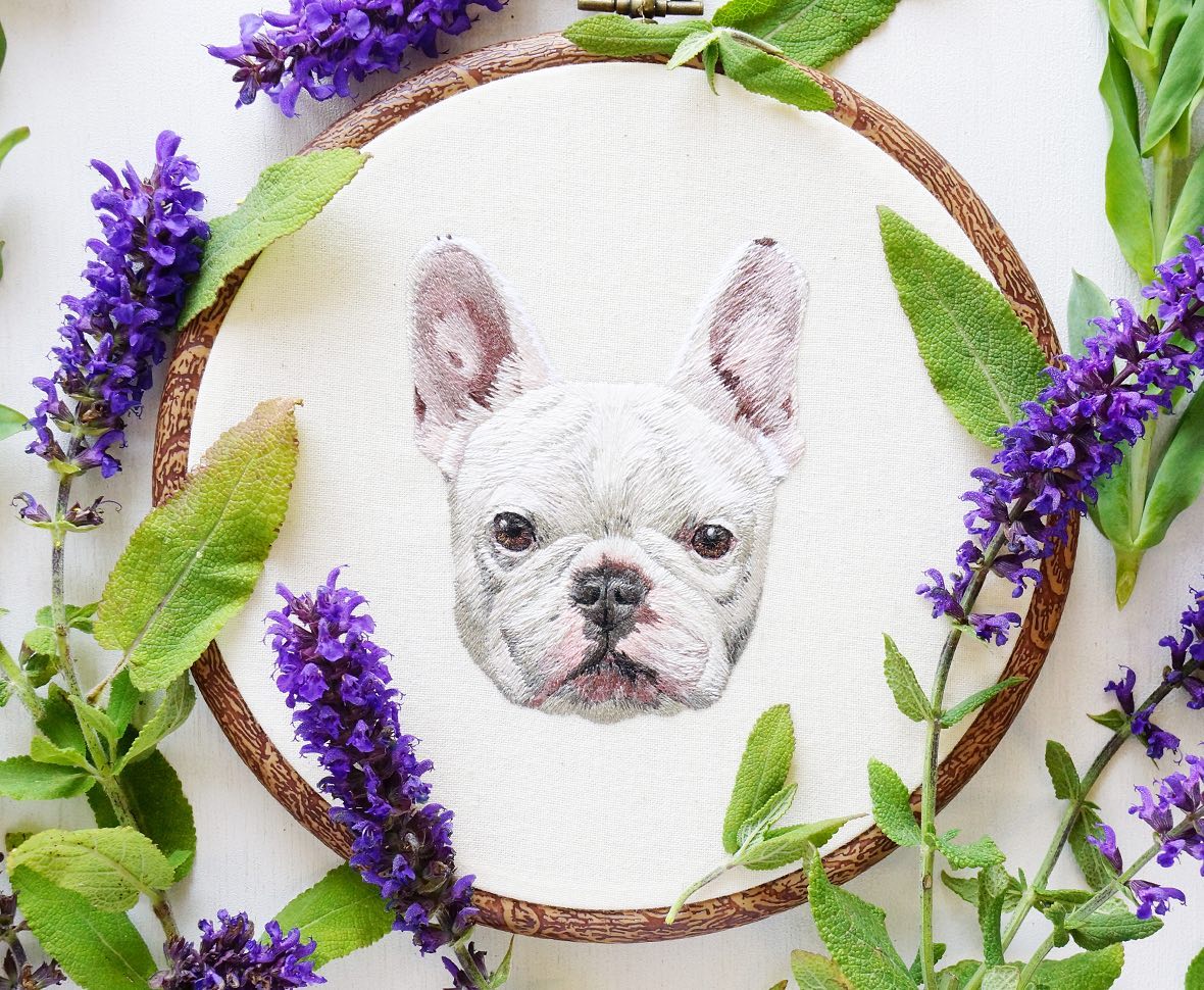 French bull dog by Kris Machiya