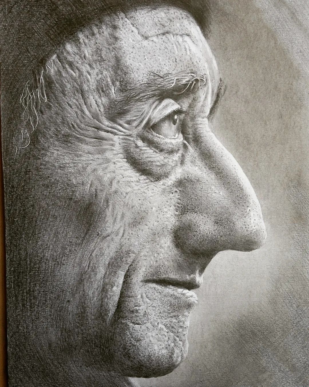 Jacques Cousteau drawing by Philip Johnson