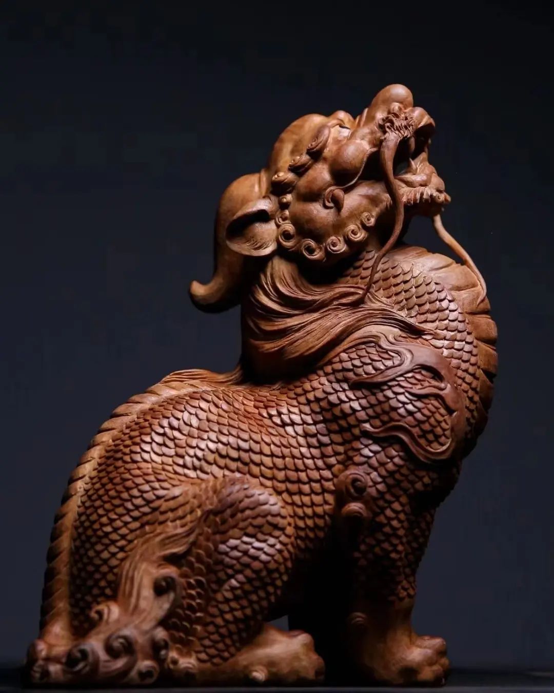 Dragon by Tinh Artist