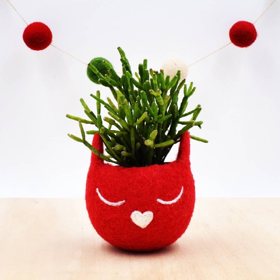 Planter Decorative Art by Stella Melgrati