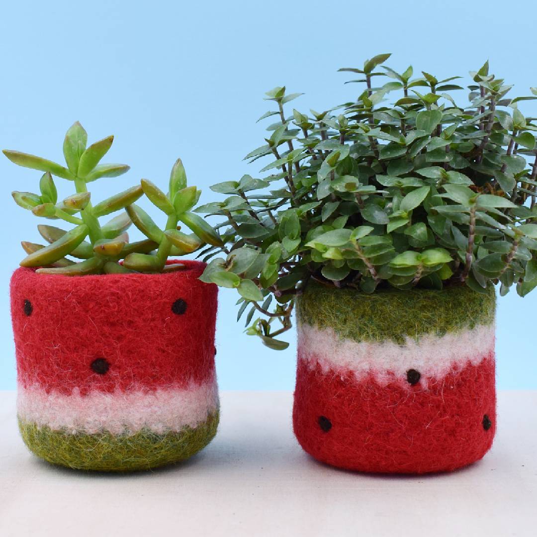 Planter Decorative Art by Stella Melgrati