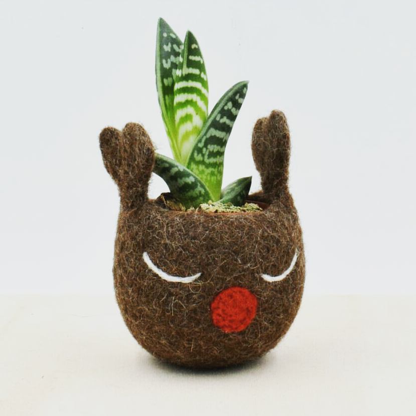 Planter Decorative Art by Stella Melgrati