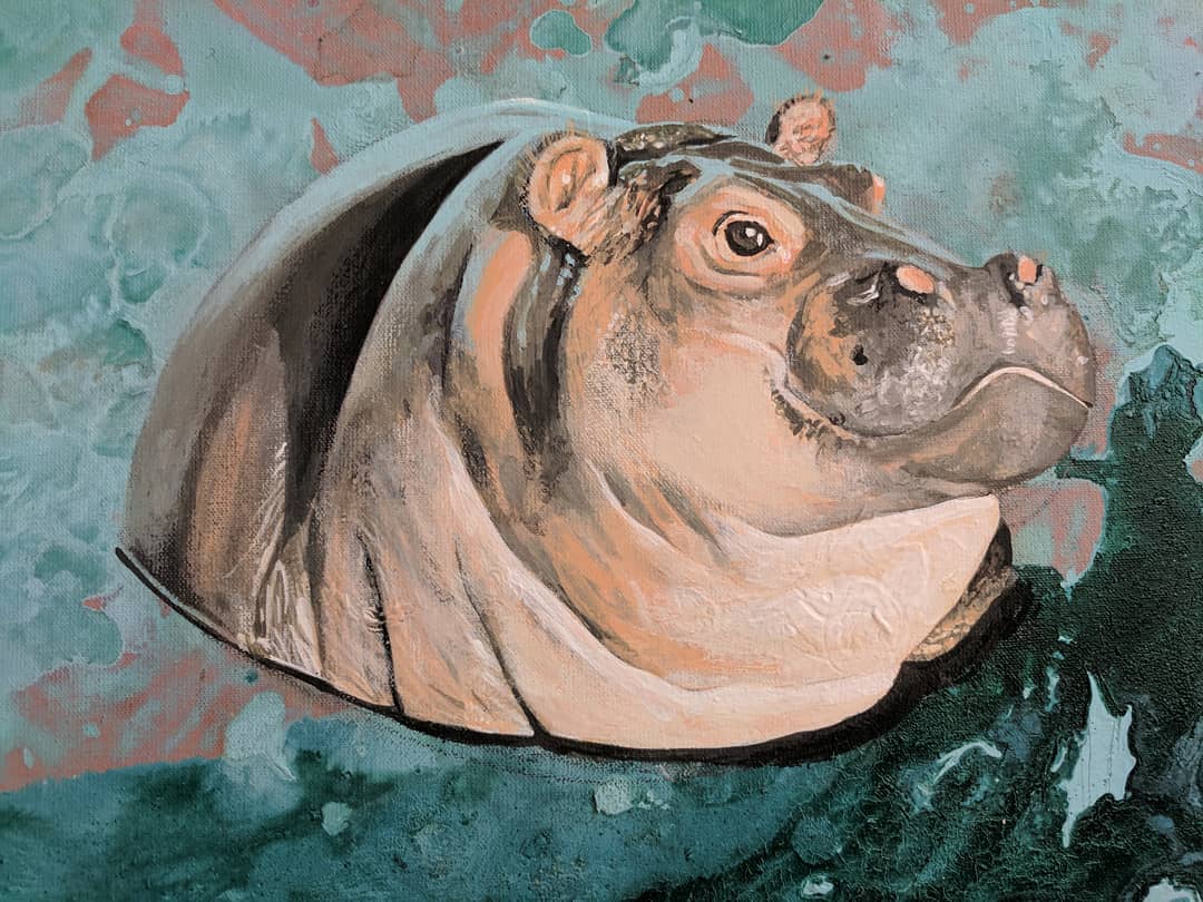 Hippo by Sergio Bacao
