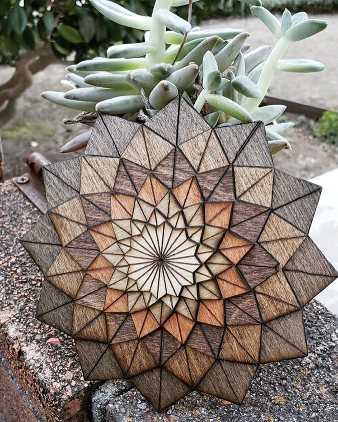 Flower Decorative Art by Alex Woodrigami