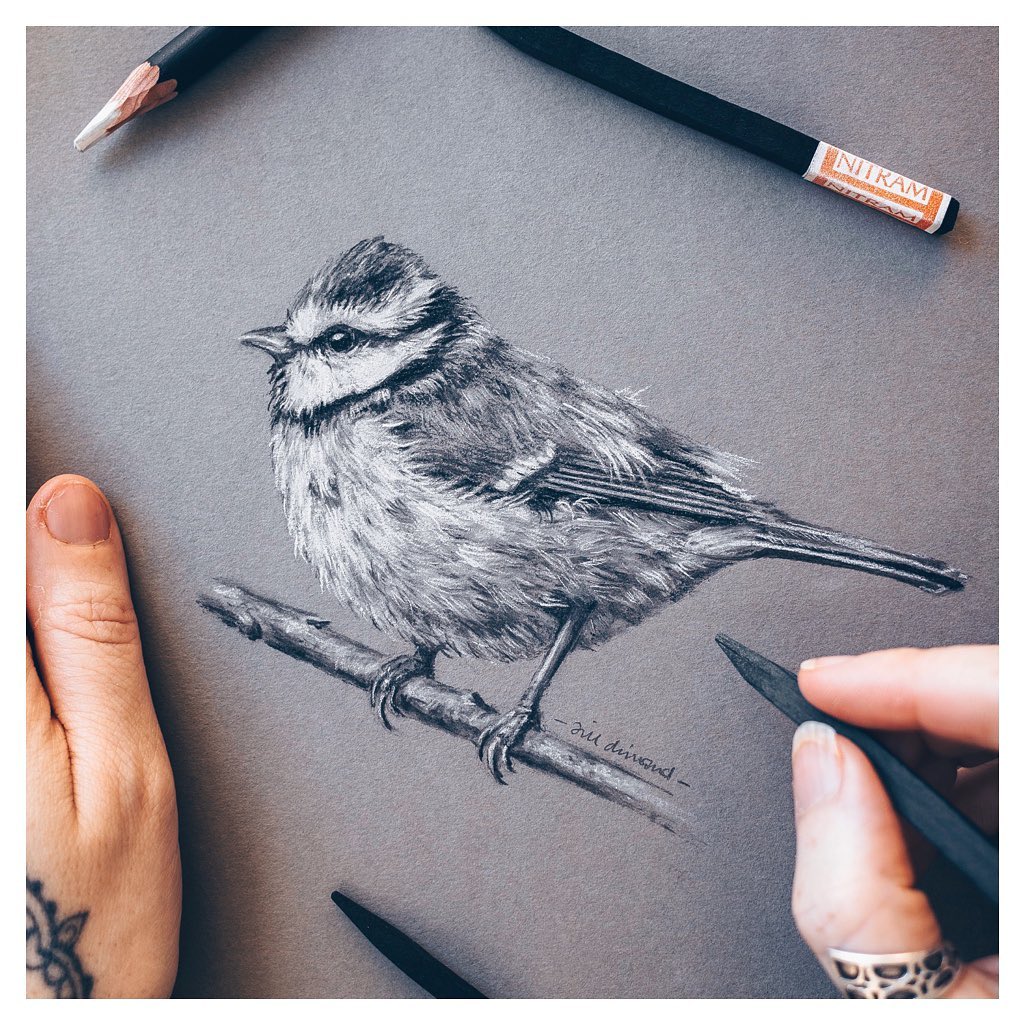 Bird by Jill Dimond