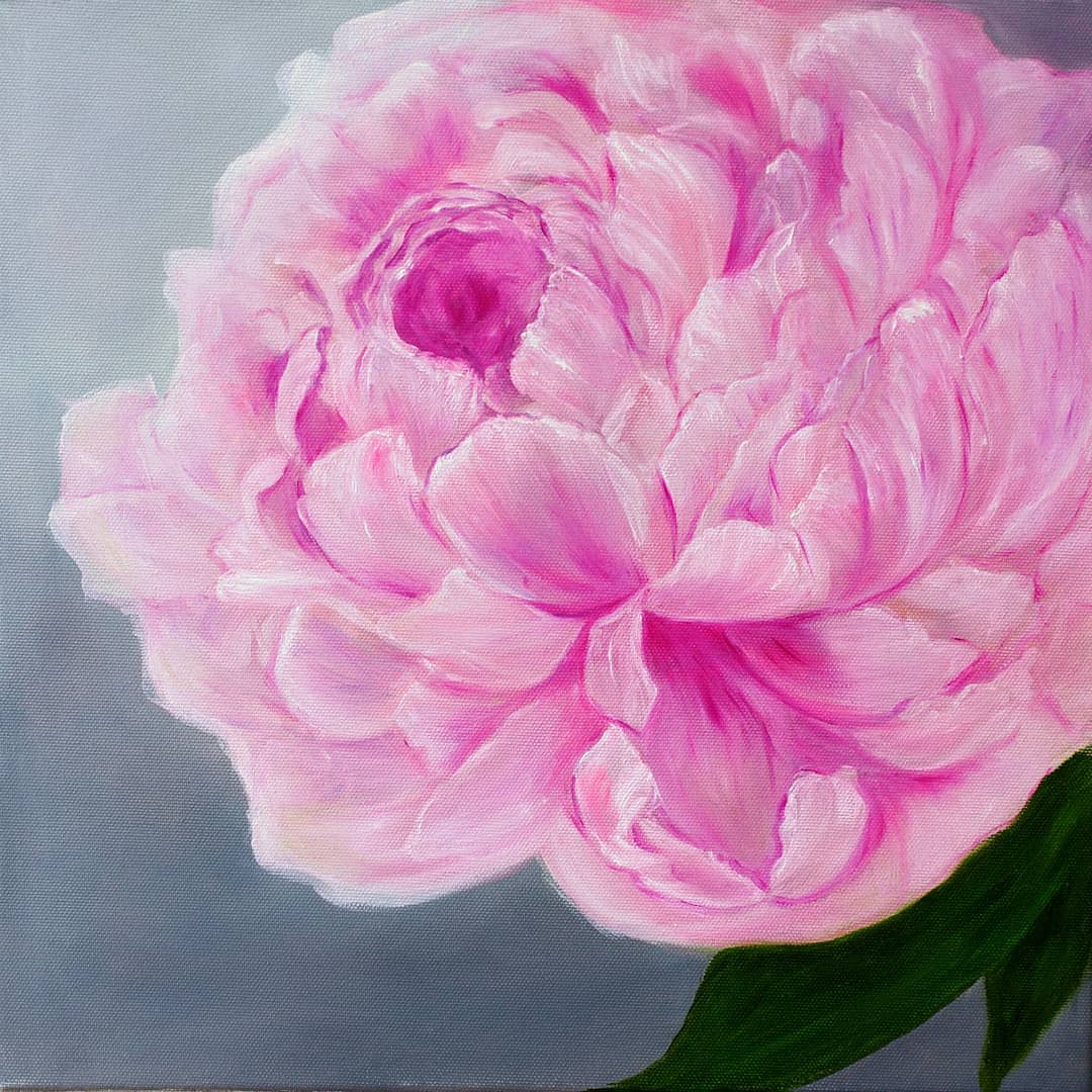 Pink peony by Elena Zagrebelna