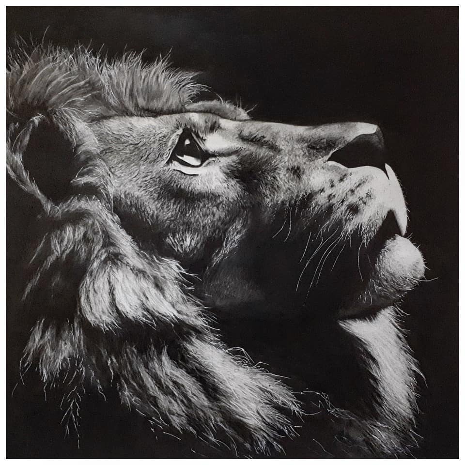 Lion Drawing by Hediye Javadi
