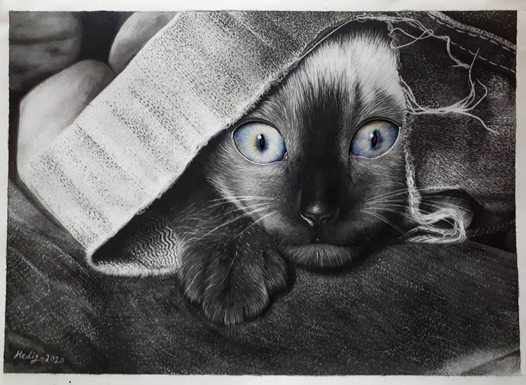 Cat Drawing by Hediye Javadi