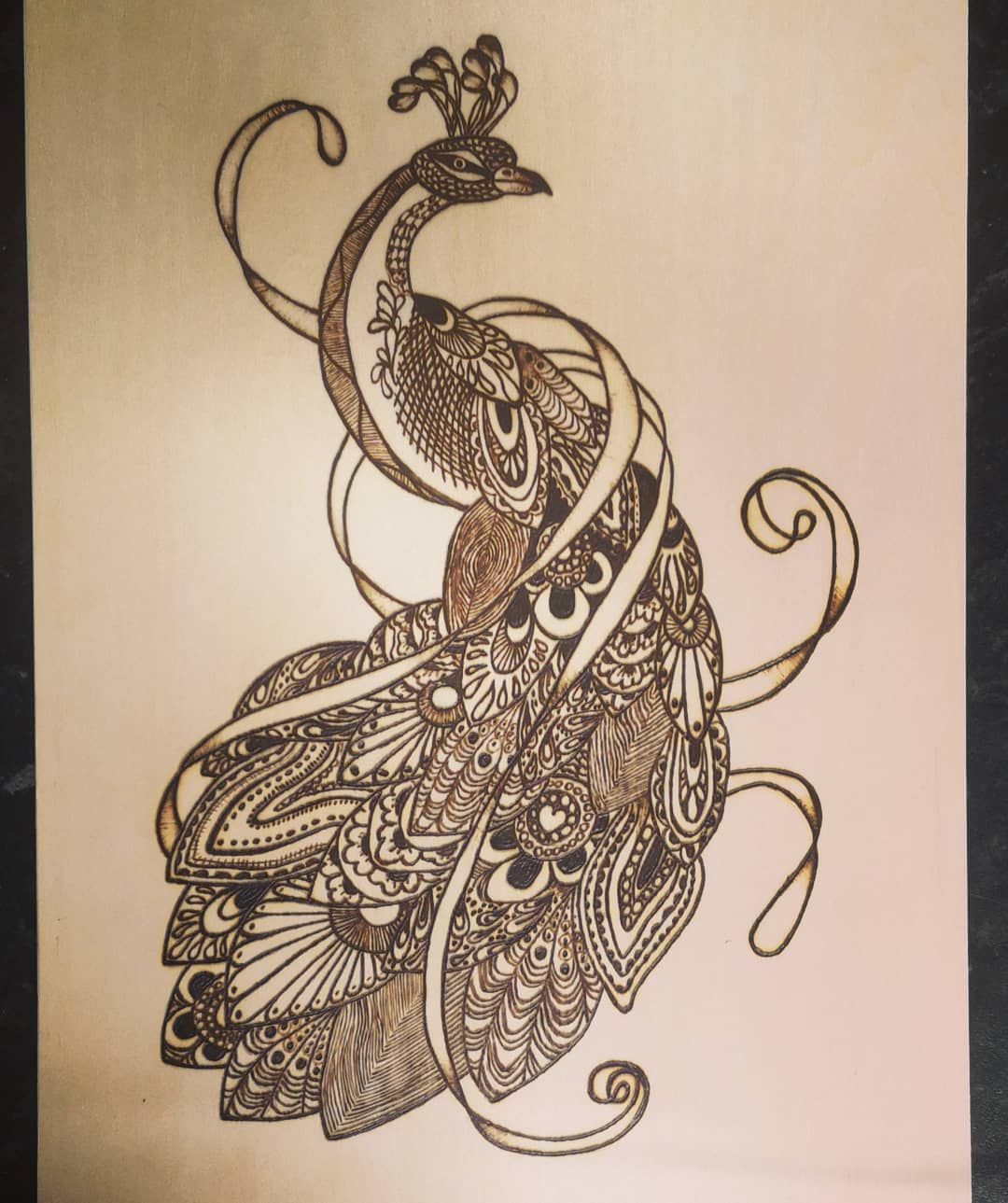Peacock by Laura Hemingway
