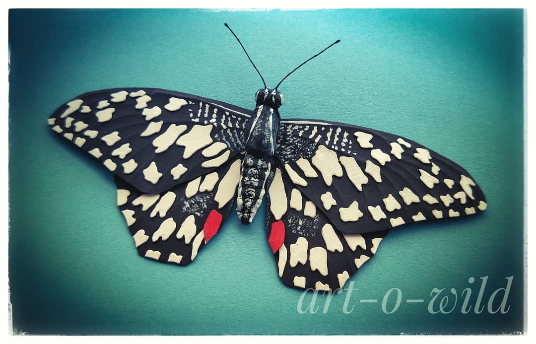 Butterfly by Shruti Artist