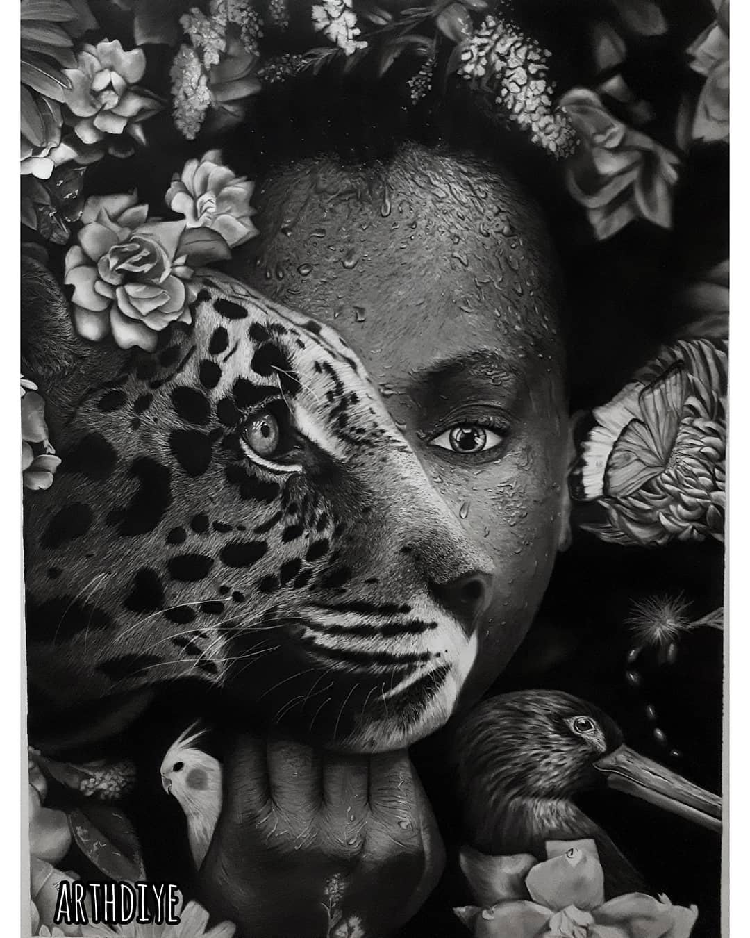 Leopard Drawing by Hediye Javadi