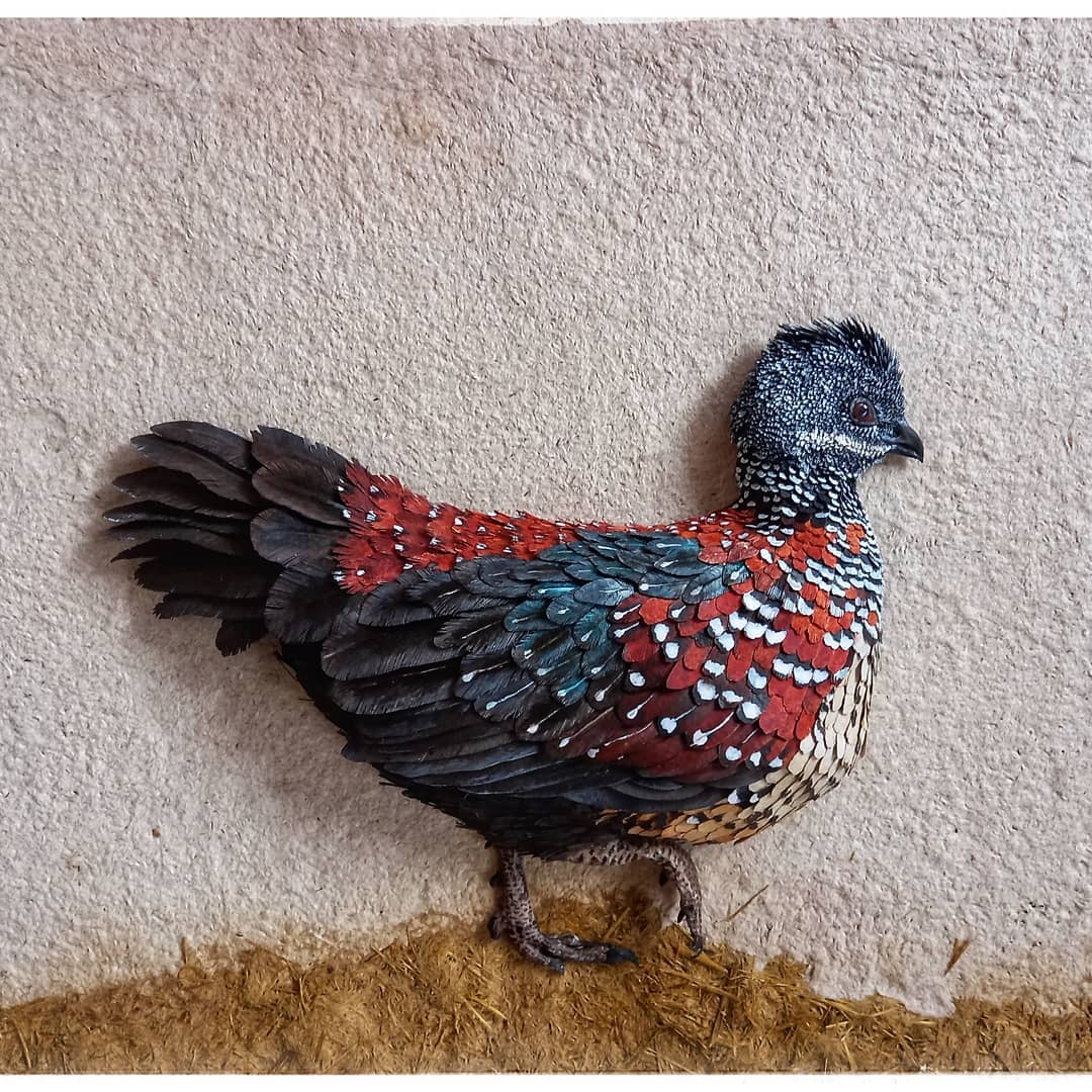 PAINTED SPURFOWL by Shruti Artist