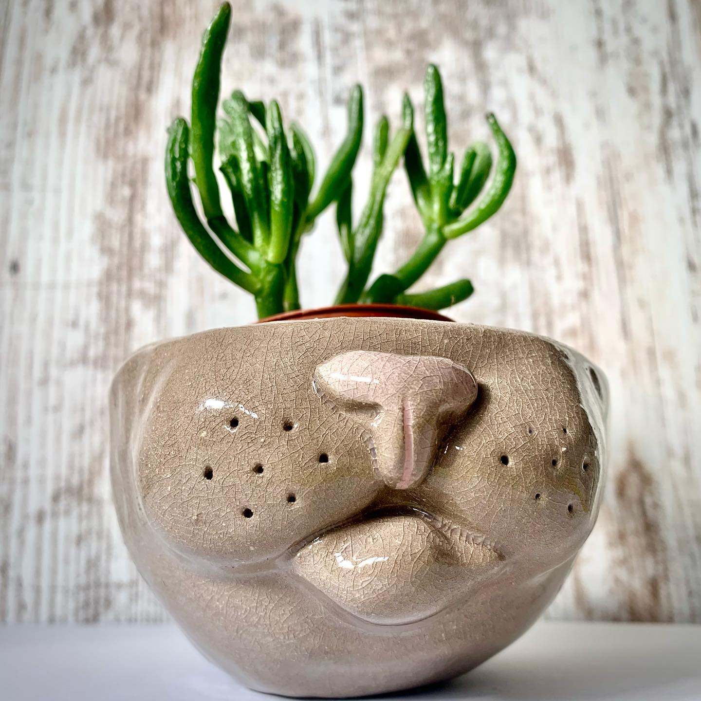 Cat pottery by Viktorija Artist