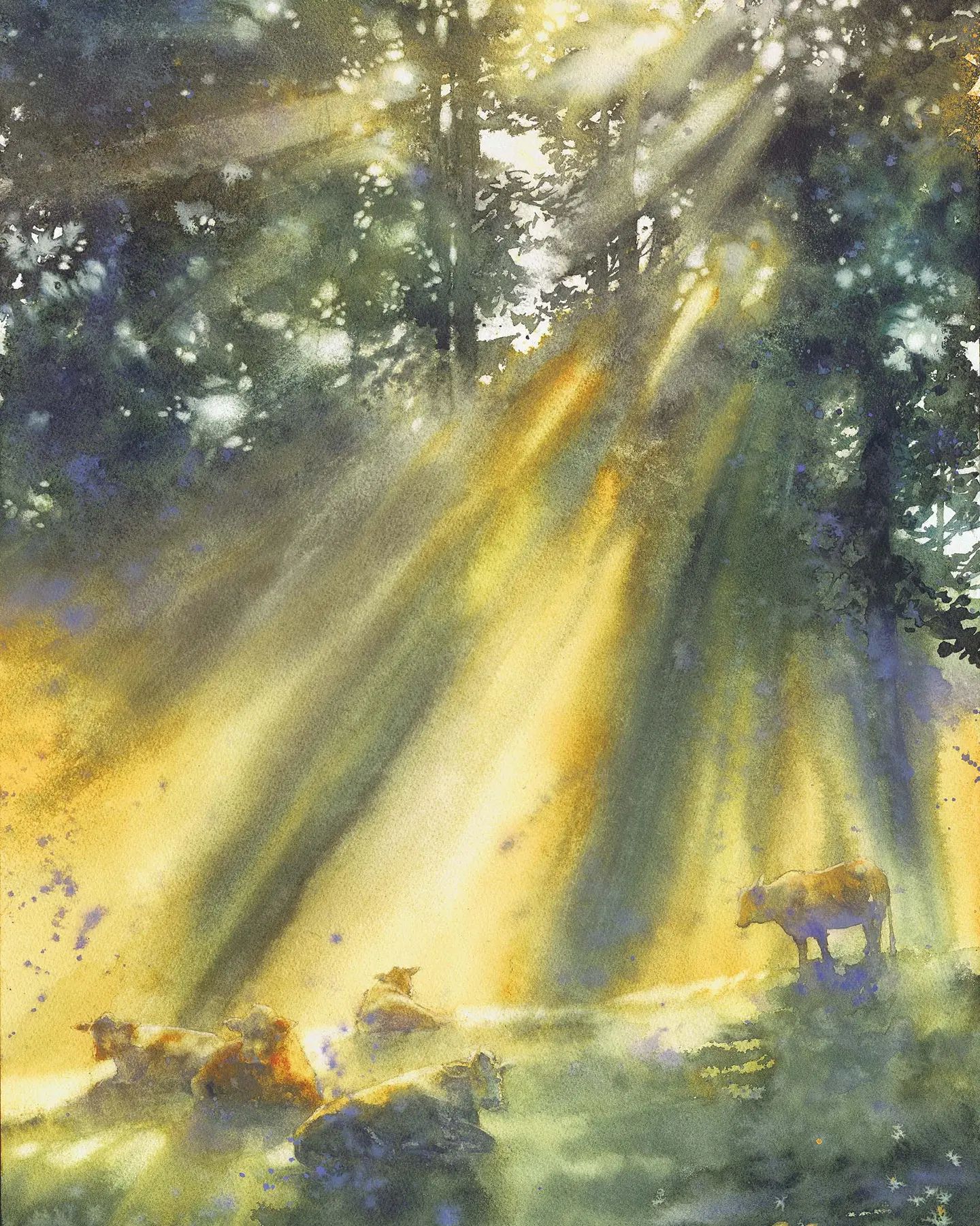 Catching the Last Sunrays by Katarzyna Kmiecik