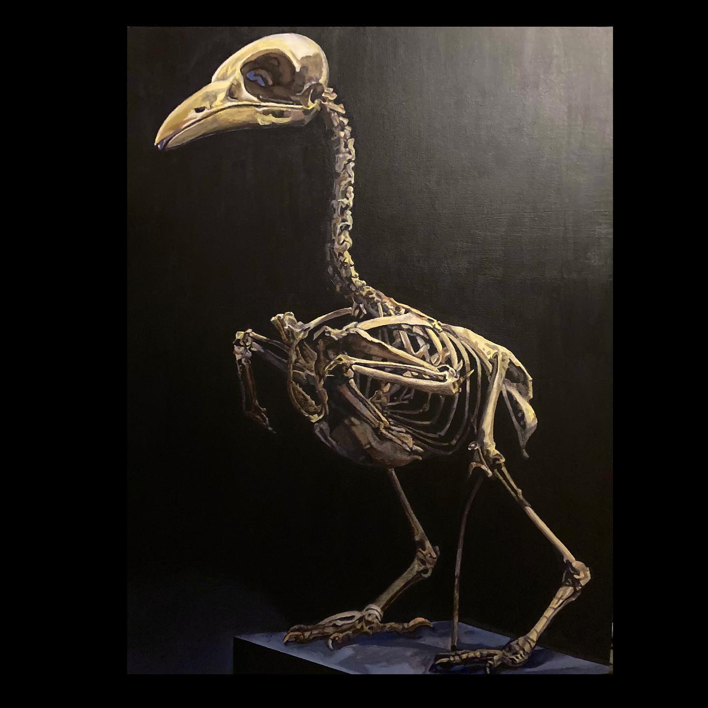 Big bird by Angela M. Stout