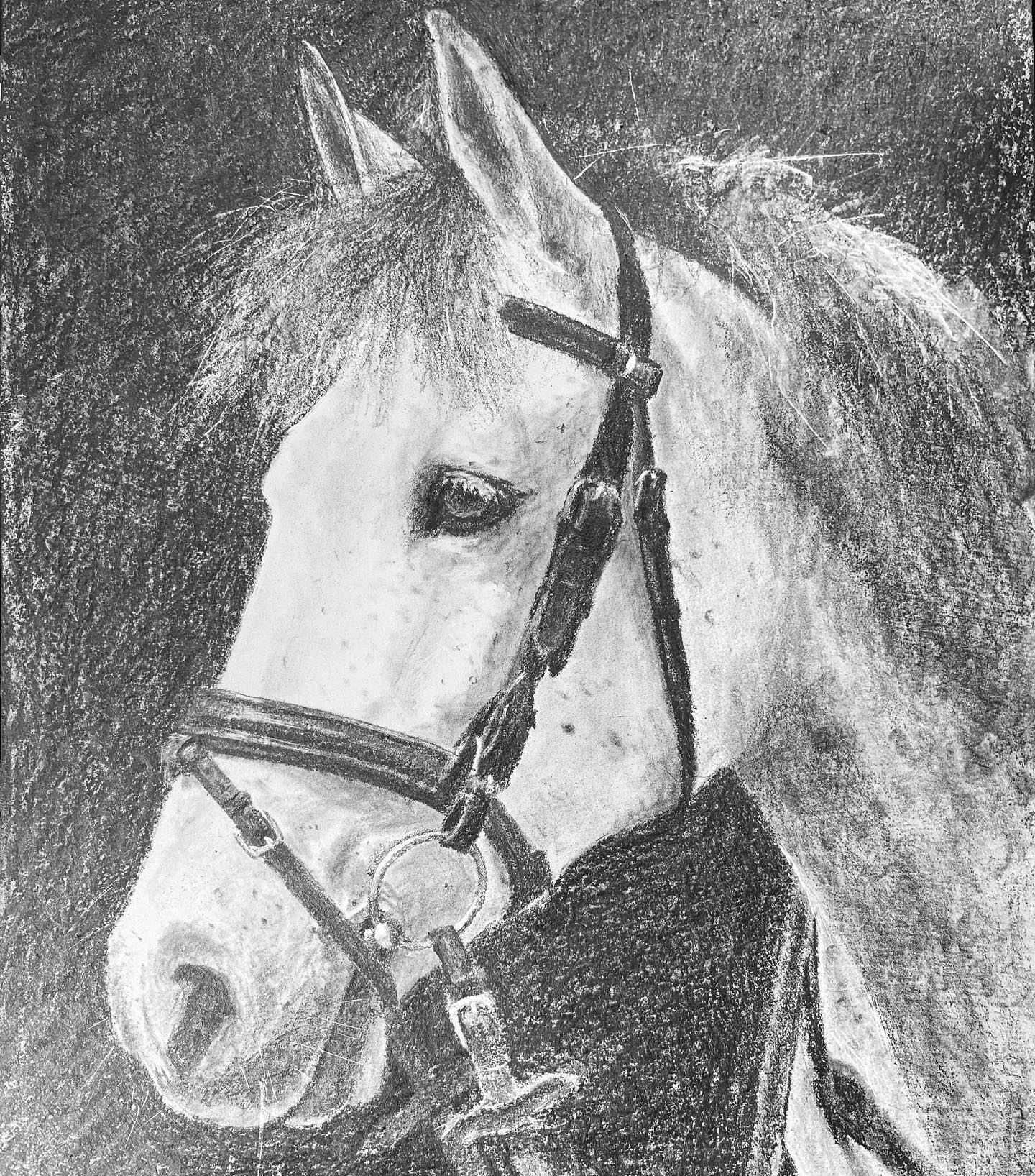 Horse Drawing by Andrew Barrowman
