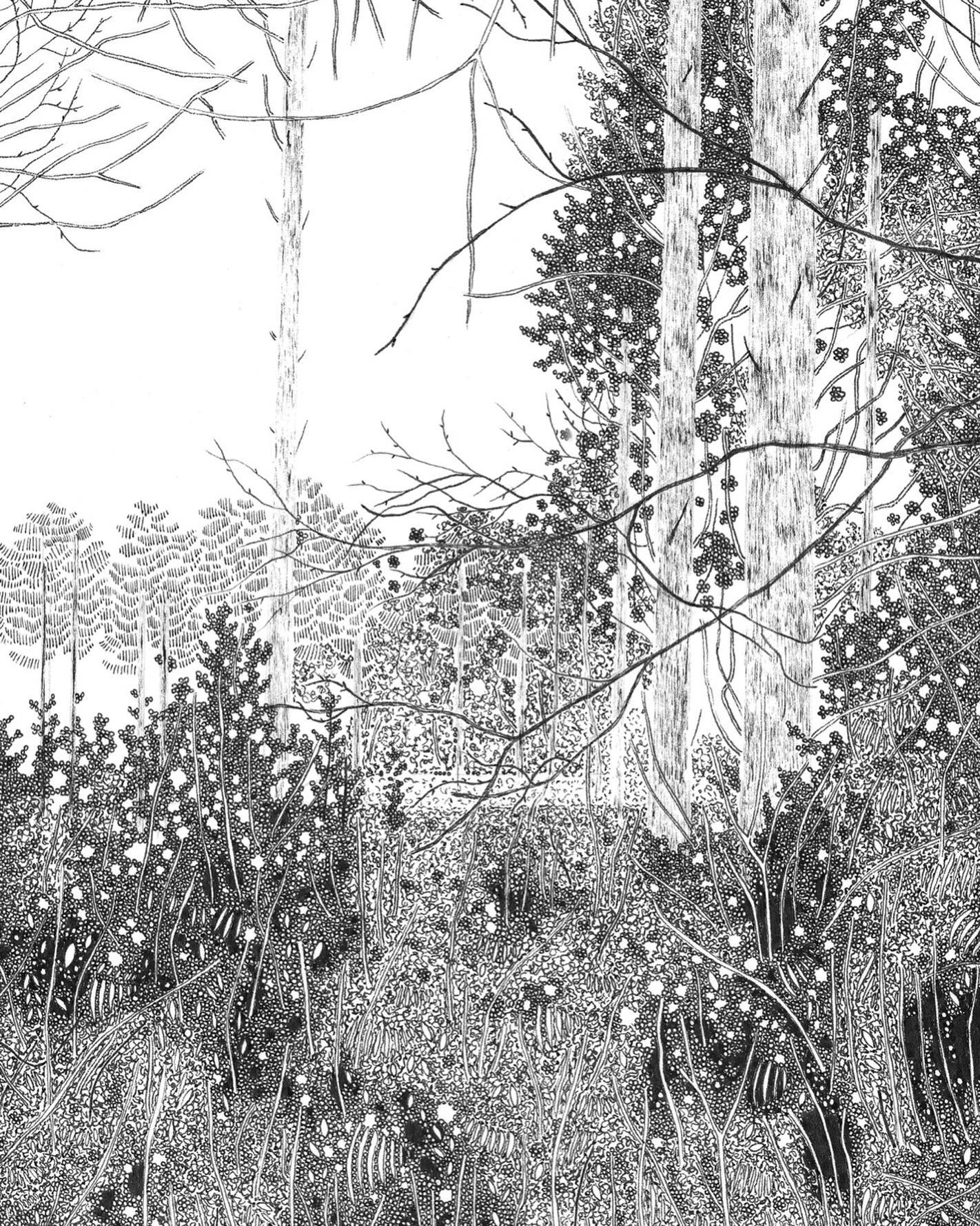Padworth Common I by Claire Leach