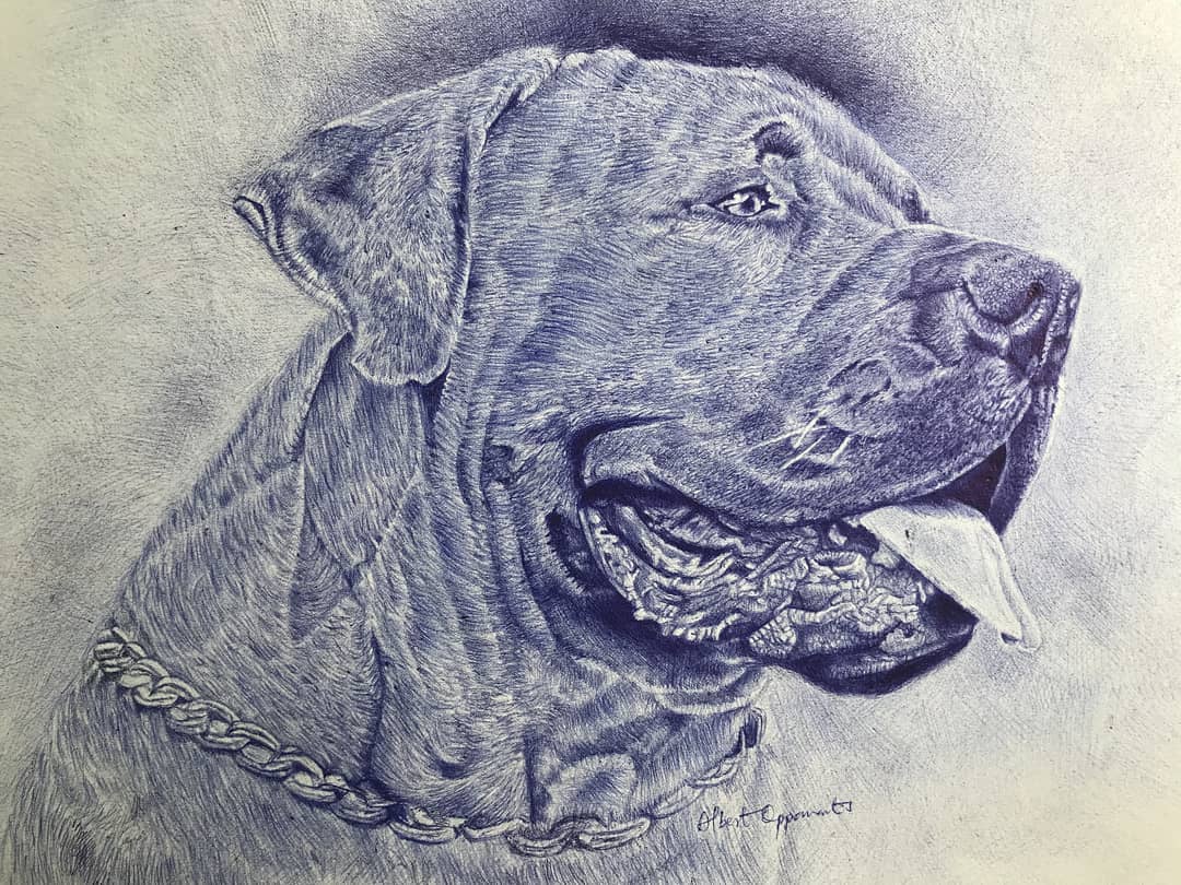 Dog Drawing by Albert Oppan