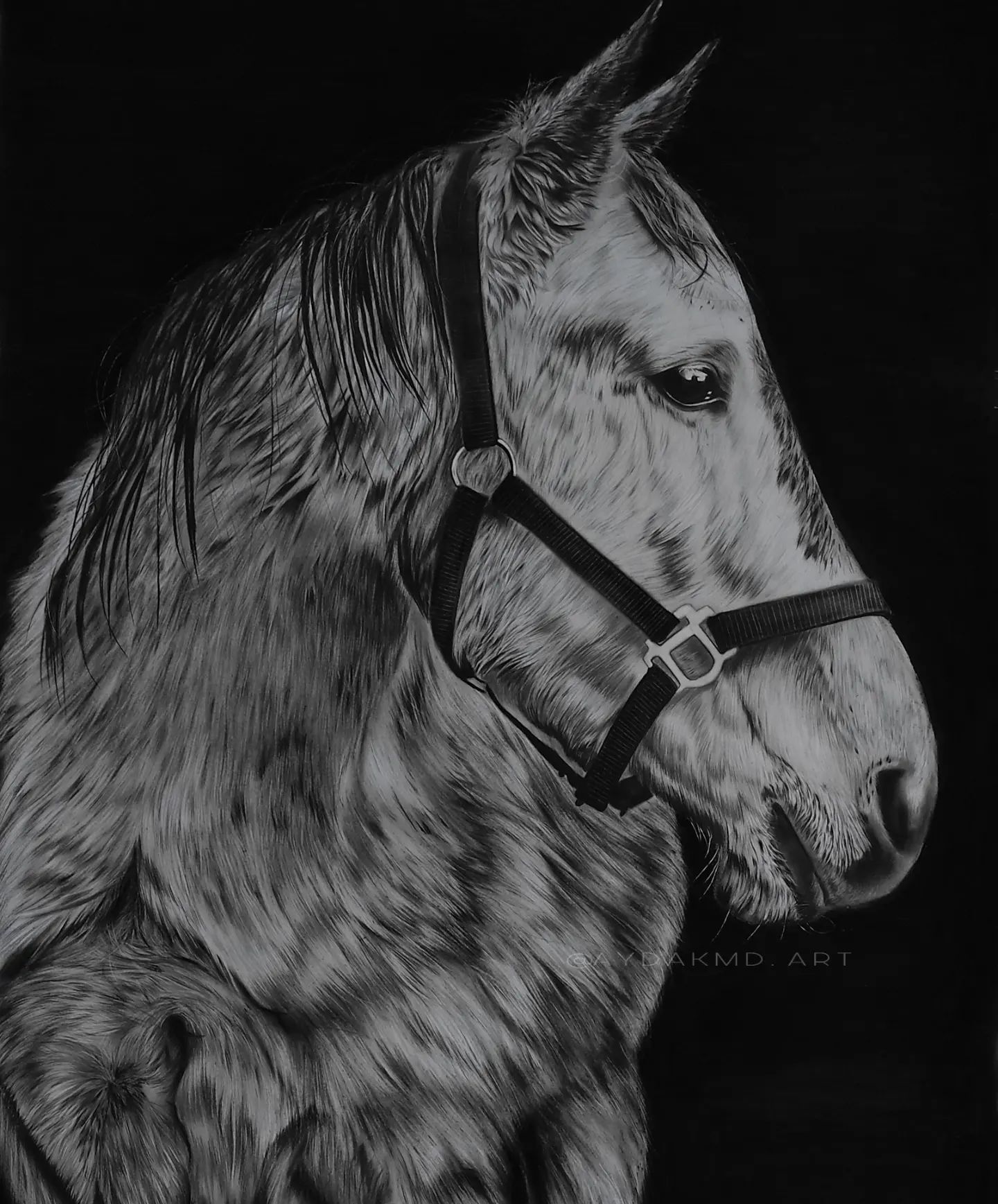 Horse by ayda Damak