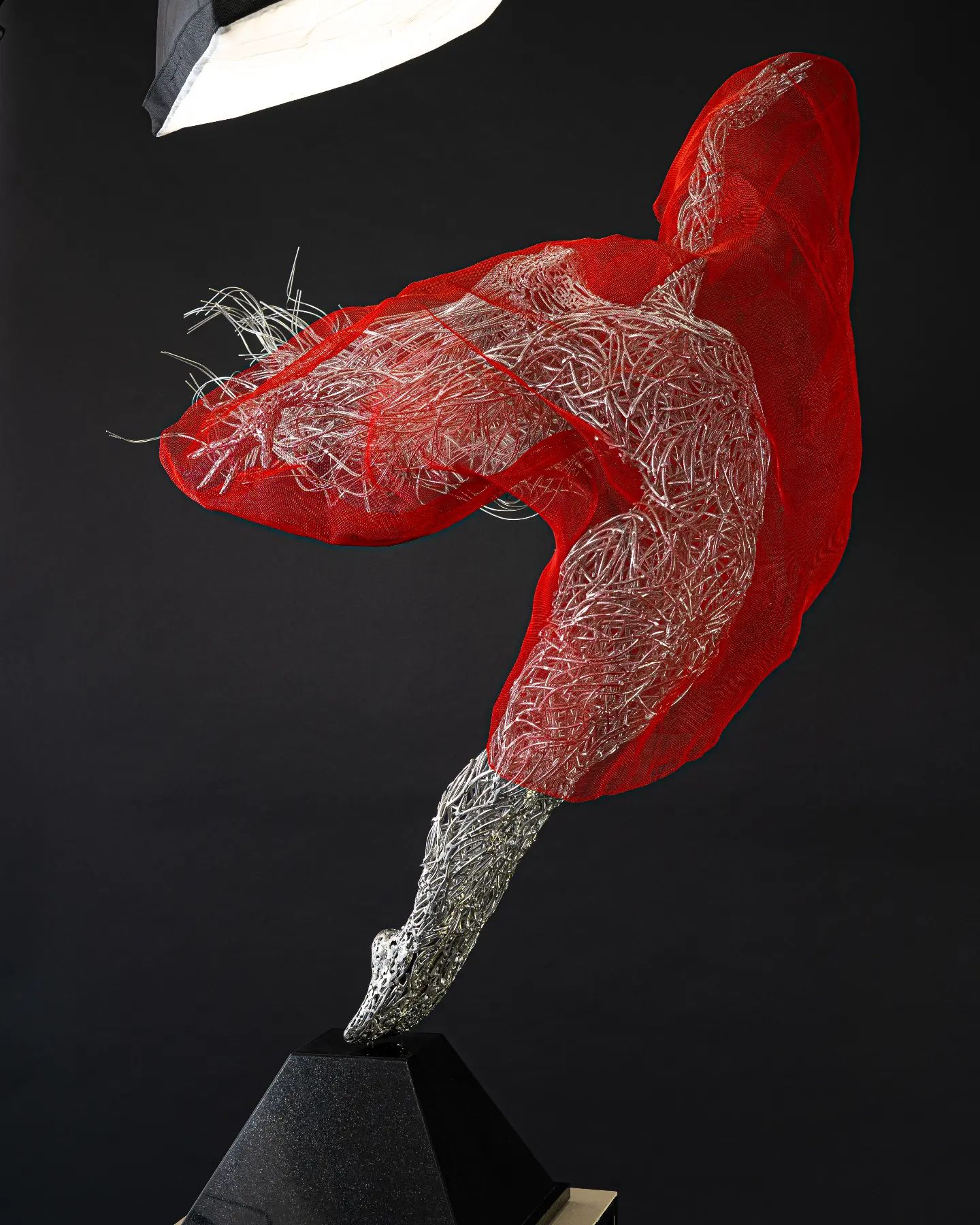 Lady in Red by Georgie Poulariani