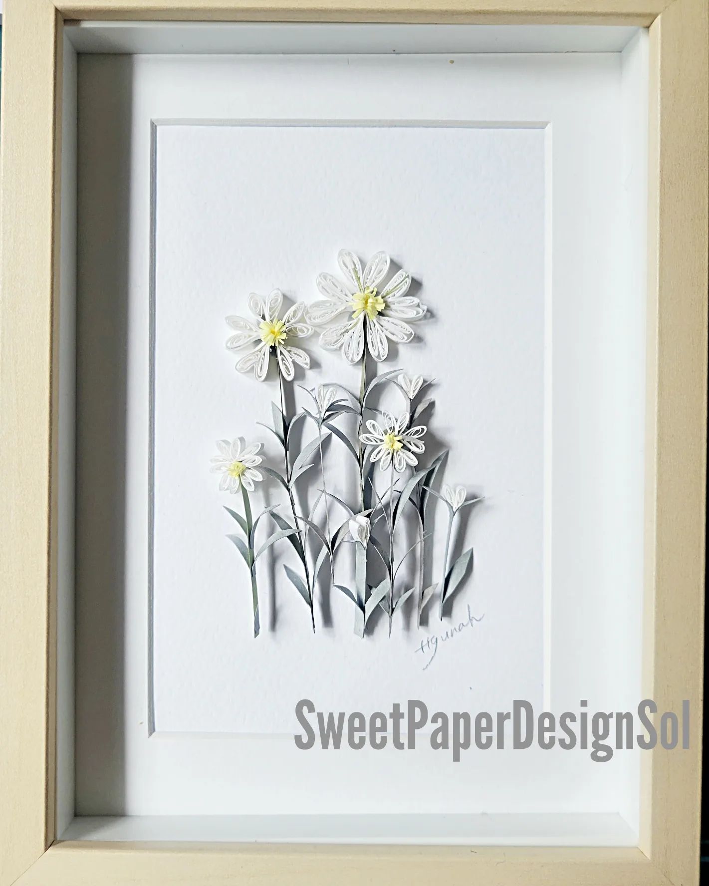 Snow-in-summer flower by Michelle Hyunah