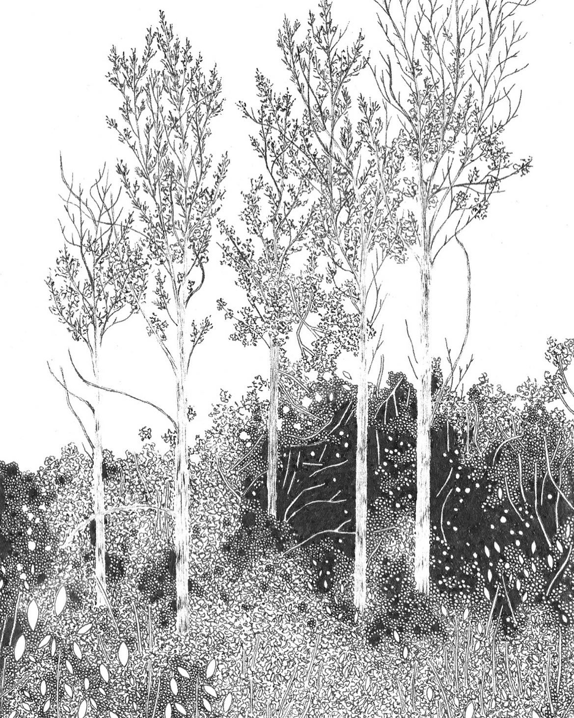 Romantic trees by Claire Leach