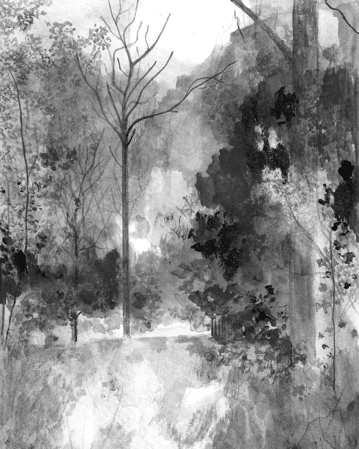 Micheldever Summer Haze II by Claire Leach