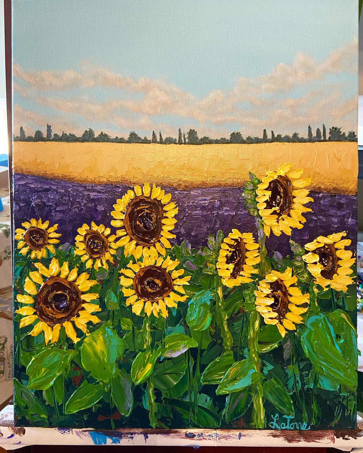 Field of sunflowers