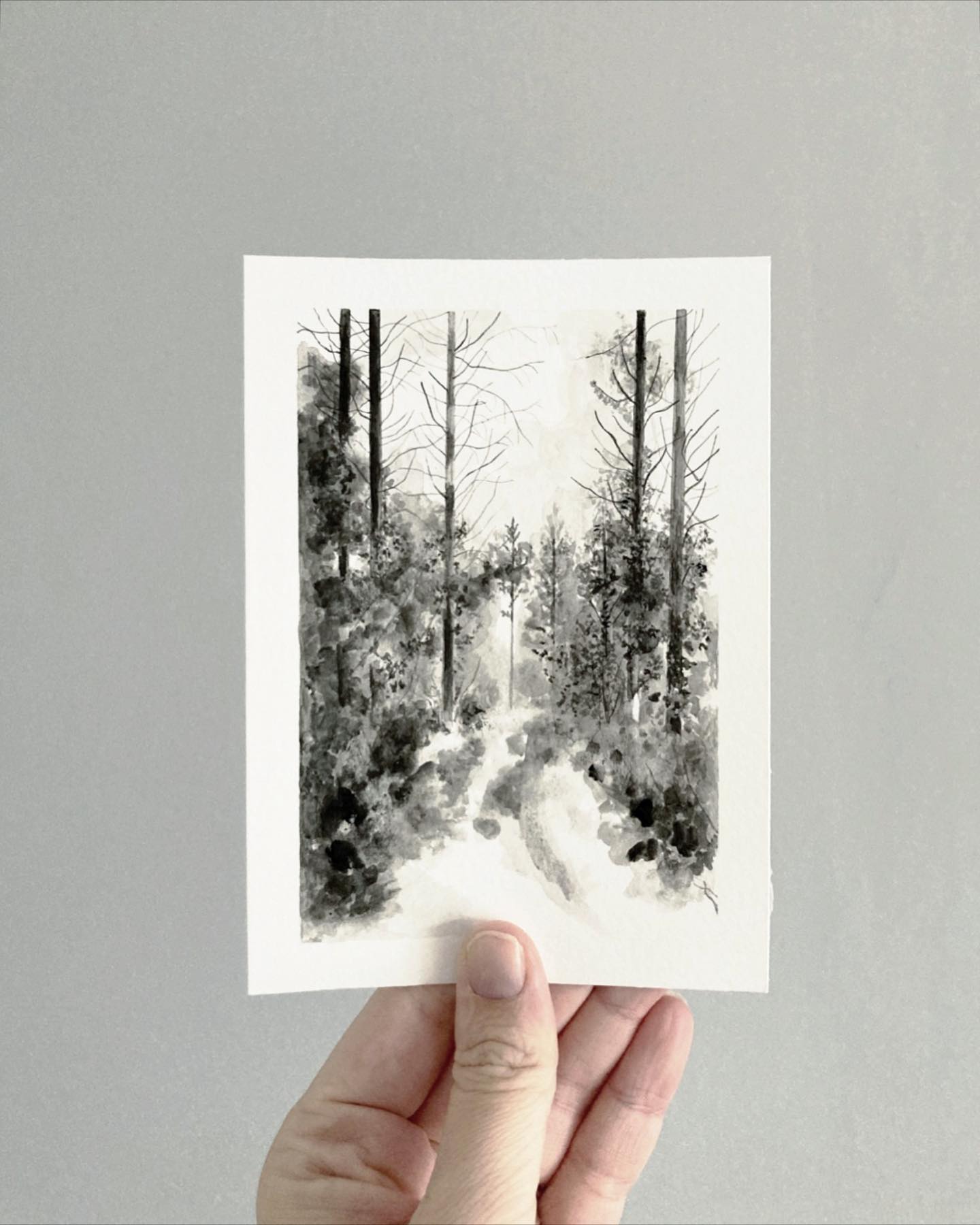 Ink drawings by Claire Leach