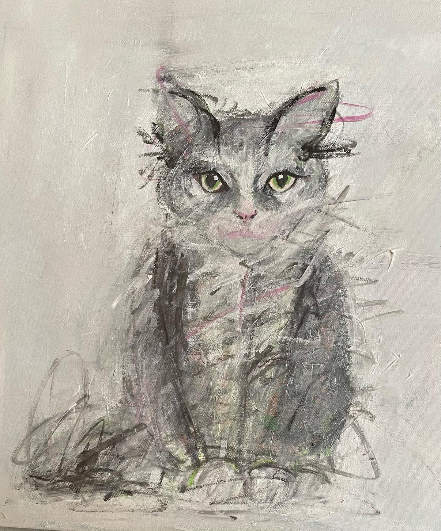 CAT by Mi Nohra