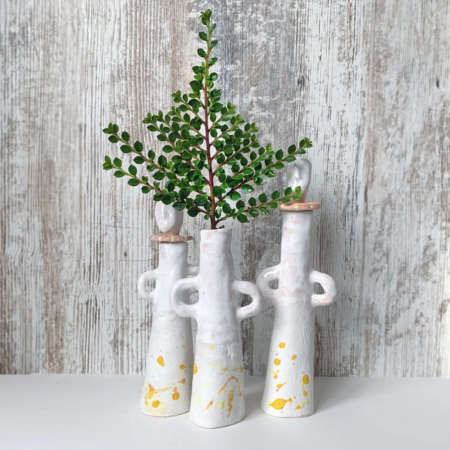 Dry flower vase by Viktorija Artist