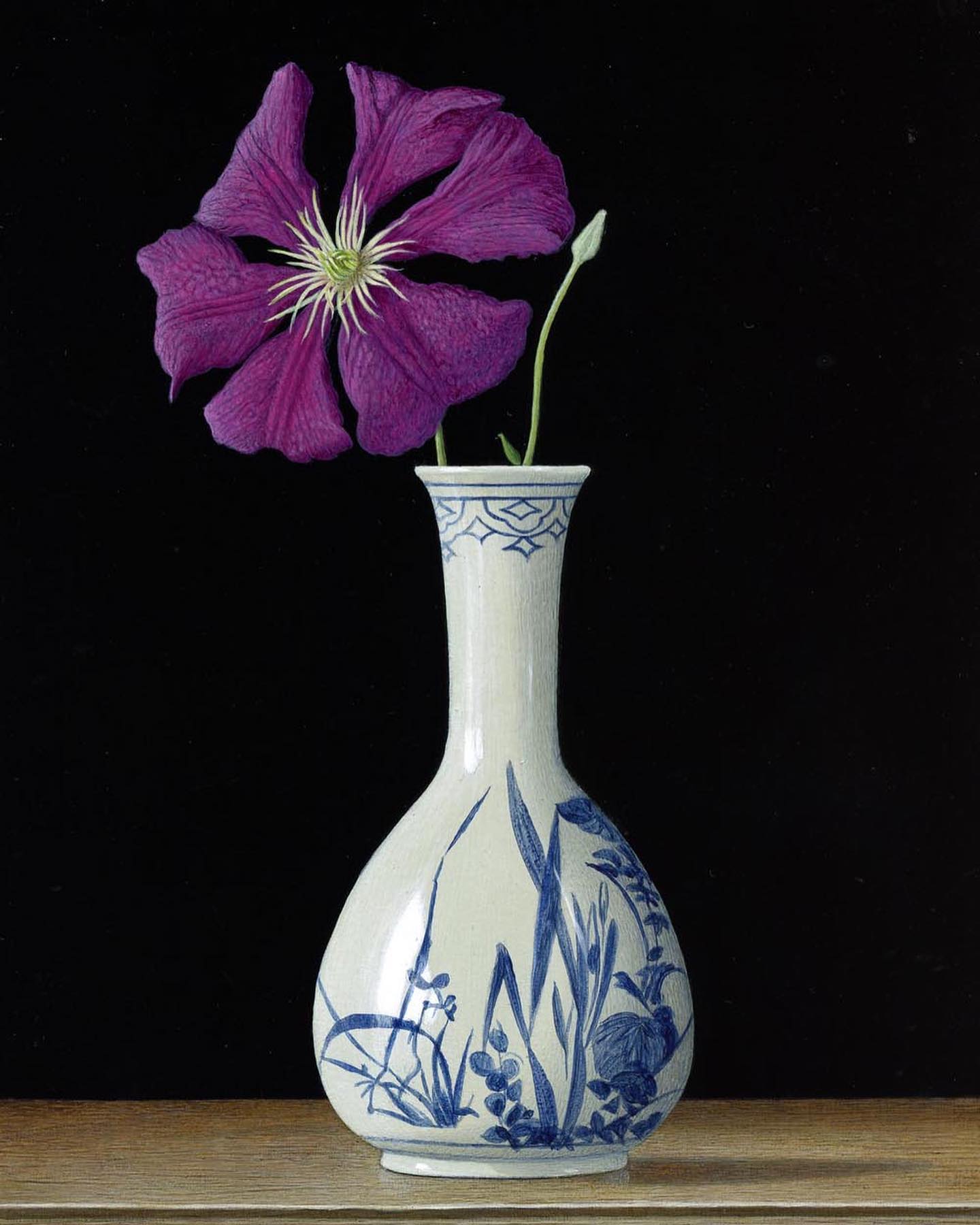 Etoile violette by Tim Gustard