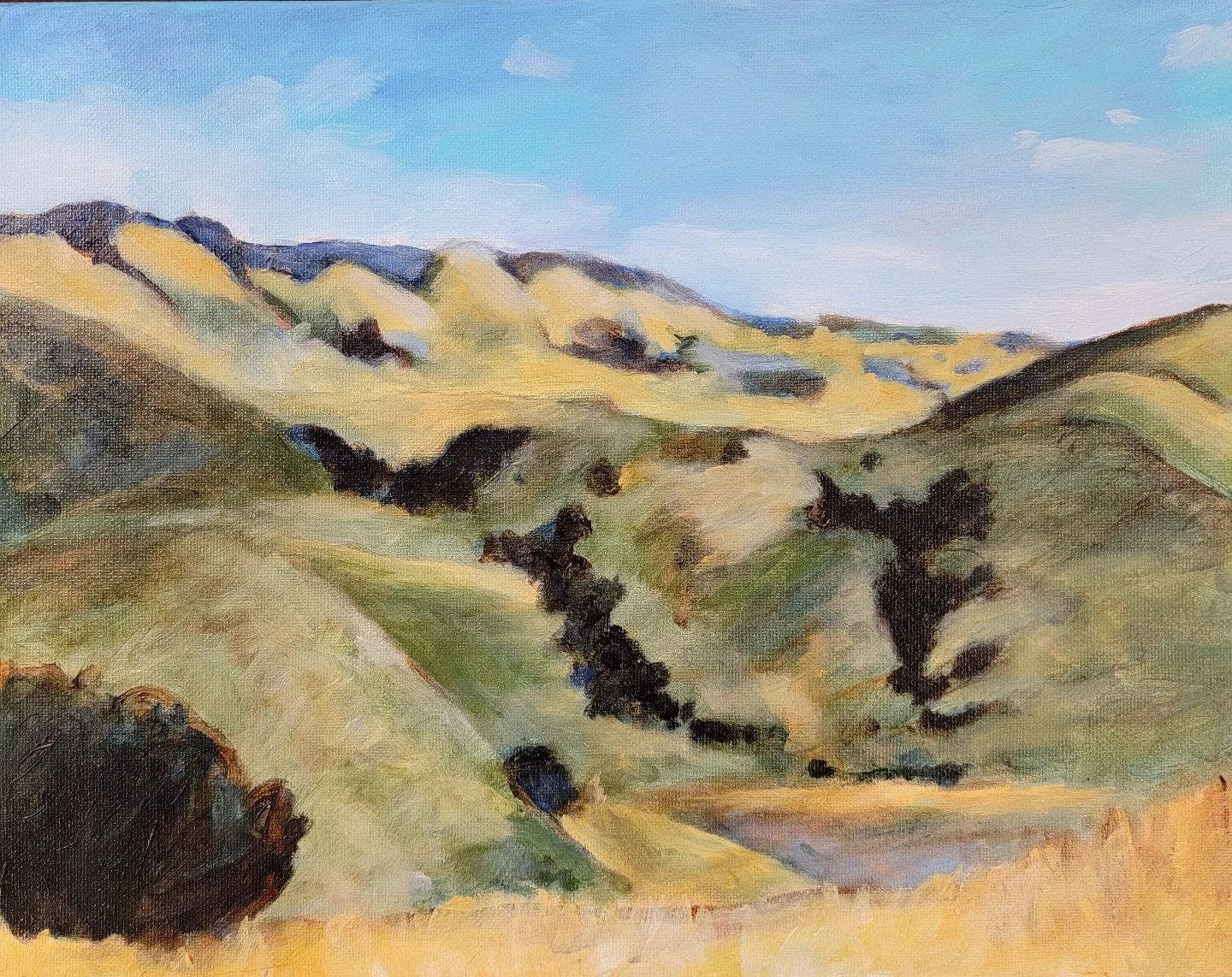 SLO Hills by Claire Burke Whitehead