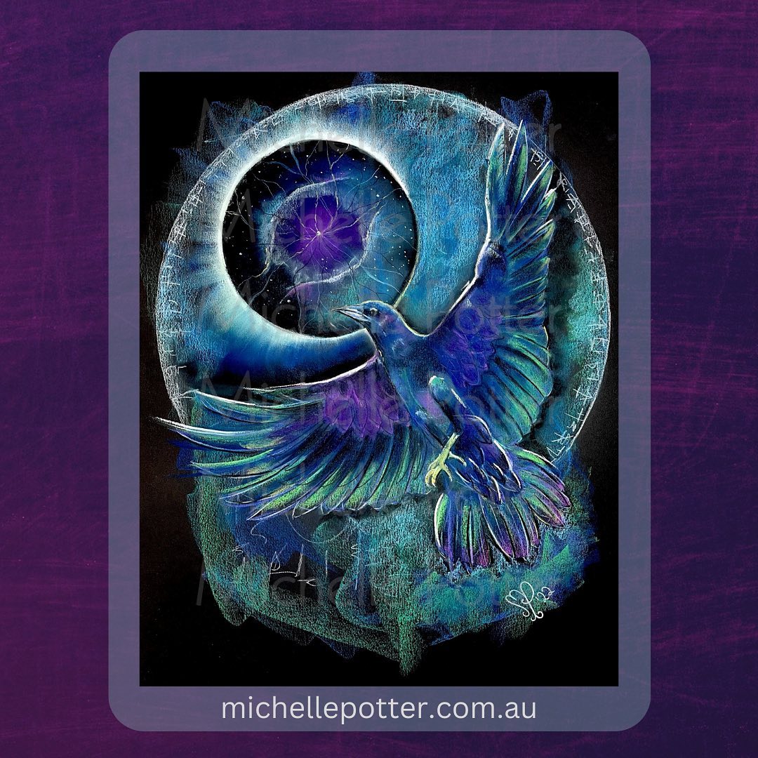 Bird Drawing by Michelle Potter