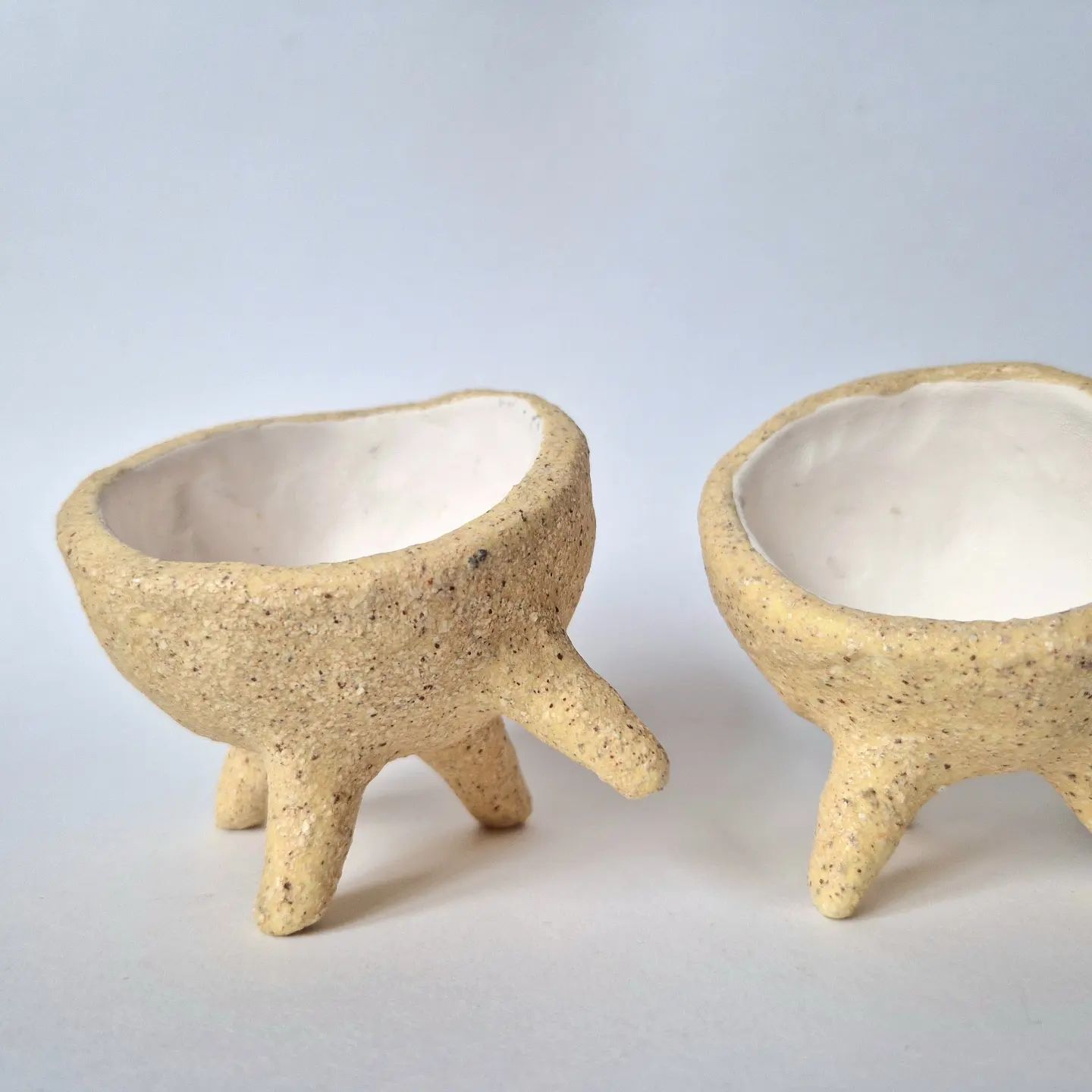 Planter Decorative Art by Viktorija Artist
