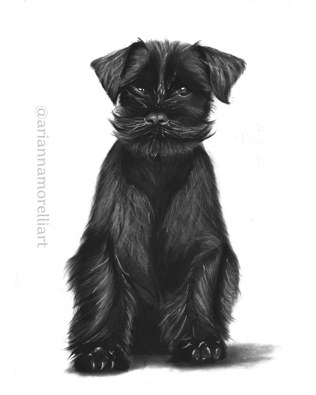 Dog Drawing by Arianna Morelli