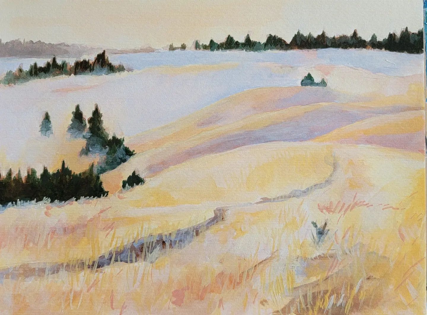 Foggy Morning by Claire Burke Whitehead